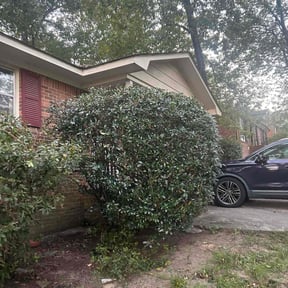 Bush Trimming by ClearCoast Lawn Solutions reviewed on December 4, 2025