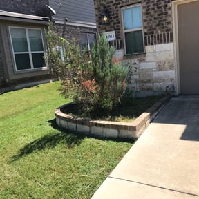 Flower Bed Weeding by Lagos unlimited service reviewed on August 16, 2025
