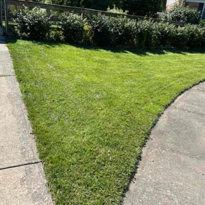 yard maintenance by Atomic lawn care reviewed on May 1, 2025