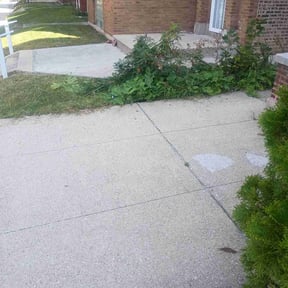 Bush Trimming by Prime reviewed on January 6, 2026