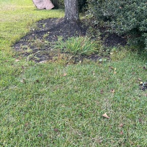 Leaf Removal by Medina lawns service reviewed on November 10, 2025