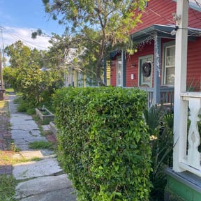 Bush Trimming by LS lawncare reviewed on May 9, 2025