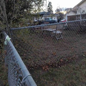 Leaf Removal by Top's Lawn Care reviewed on November 21, 2025