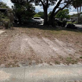 Leaf Removal by Patriot Blades Lawn Co. reviewed on June 26, 2026