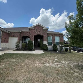 Bush Trimming by Earths Etiquette Mobile reviewed on November 20, 2025