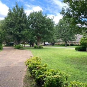 lawn care by Turnage Works DBA DDT Lawn Services reviewed on October 6, 2024