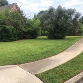 residential landscaping by Ty's Lawn Care reviewed on August 17, 2025