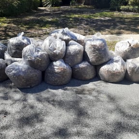 Leaf Removal by Brenden&#039;s lawn care reviewed on September 8, 2025