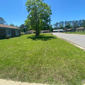 yard work by Micha's Mowing Services, LLC reviewed on August 17, 2025