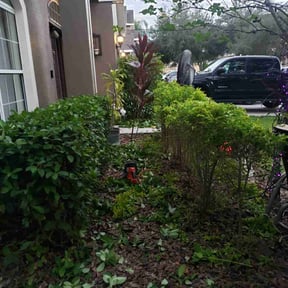 Bush Trimming by Dee Jays lawn service reviewed on August 15, 2025