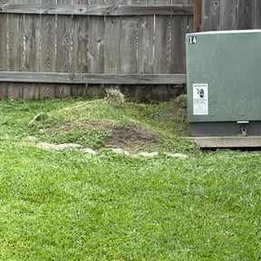 Flower Bed Weeding by Southern Scapes Lawn Service reviewed on August 18, 2025