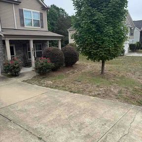 Bush Trimming by Farley's Lawn &amp; Land Solutions reviewed on May 22, 2026