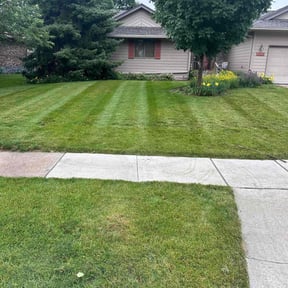 lawn service by Handy Honey Do LLC reviewed on May 6, 2025