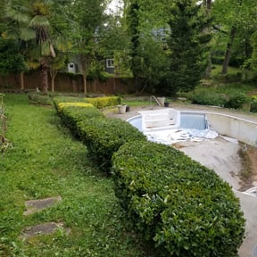 Bush Trimming by Under the Table Lawn Care Company reviewed on May 8, 2024