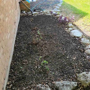 Flower Bed Weeding by Diligence reviewed on August 21, 2025