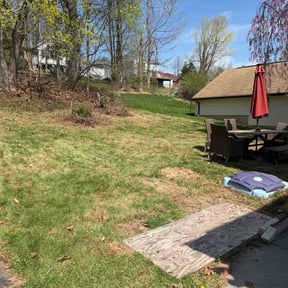 Leaf Removal by With the grit landscaping reviewed on June 9, 2026
