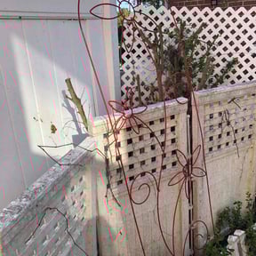 grass maintenance by 3 brothers landscaping reviewed on August 6, 2025