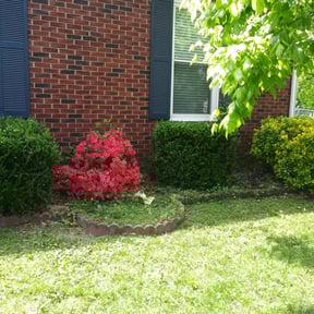 Bush Trimming by Speedy Rabbit Lawncare reviewed on July 20, 2023