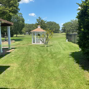 Bush Trimming by Steve&#039;s Lawn Care reviewed on August 21, 2025