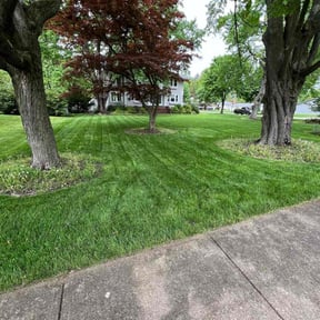 lawn care by JDAA  Lawn Care Service LLC reviewed on August 20, 2025