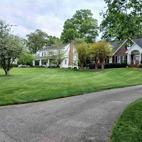 yard service by McNeil's lawn care &amp; maintenance reviewed on November 21, 2025