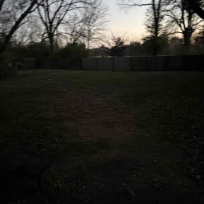 Leaf Removal by SCYARDS LLC reviewed on October 8, 2023