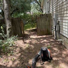 Bush Trimming by Croc Landscape Corp reviewed on July 14, 2026