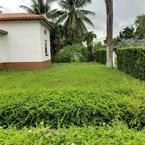 Leaf Removal by Jardinería rodriguez reviewed on September 21, 2025