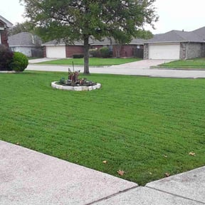 turf maintenance by Thayer&#039;s Property Maintenance reviewed on August 8, 2022