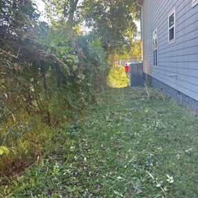 grass maintenance by GC Lawn Care &amp; Landscaping Services reviewed on March 19, 2024