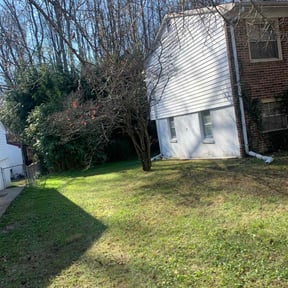 Leaf Removal by T's lawn care &amp; maintenance reviewed on September 23, 2025