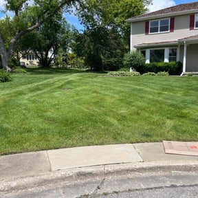 yard care by Phillip Landscape reviewed on August 20, 2025
