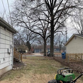 Leaf Removal by A&M professional landscapers  reviewed on August 21, 2025