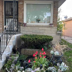 Bush Trimming by Promaster lawn care &amp; landscaping reviewed on April 27, 2026