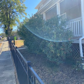 Bush Trimming by Parrish Lawn Care reviewed on November 24, 2025