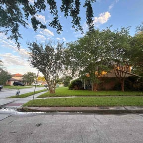 landscaping services by Landscaping design and Lawn care reviewed on August 21, 2025
