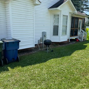Bush Trimming by Aee handymany services reviewed on August 17, 2025