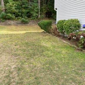 Bush Trimming by Fresh Views Lawn Service reviewed on August 16, 2025