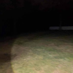 Leaf Removal by Perez Landscaping inc reviewed on December 9, 2025