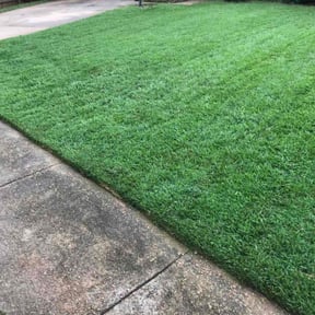 landscape maintenance by Brother's Irrigation and Landscaping reviewed on August 19, 2025