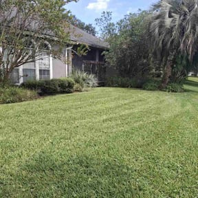 grass maintenance by Aces cleaning reviewed on September 19, 2023
