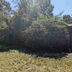 Bush Trimming by H&P Lawn & Landscaping, LLC reviewed on August 19, 2025