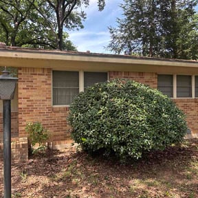 Bush Trimming by ProGreen Landscaping reviewed on May 10, 2026