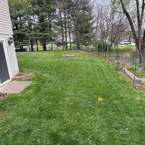 grass maintenance by Thick Green Lawn Care reviewed on April 17, 2025