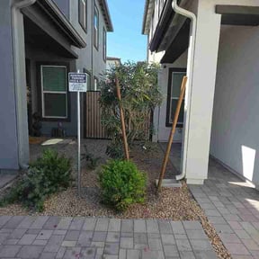 Bush Trimming by Affordable lawn and trim reviewed on May 5, 2026