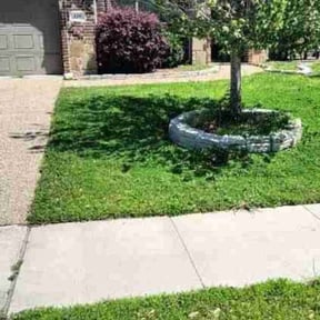 gardening service by Trinity Mobile Service LLC reviewed on August 19, 2025