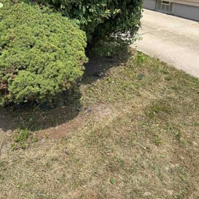Leaf Removal by Posadas landscaping services reviewed on July 18, 2026