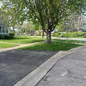 yard care by Torres Lawn Care reviewed on August 15, 2025