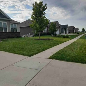 lawn maintenance by Professional Services reviewed on May 14, 2024