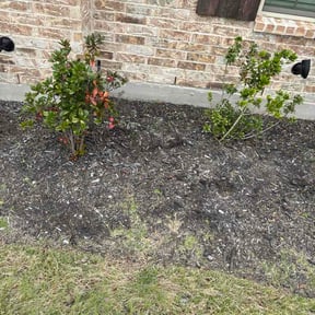 Flower Bed Weeding by Downpour powerwashing reviewed on April 28, 2026